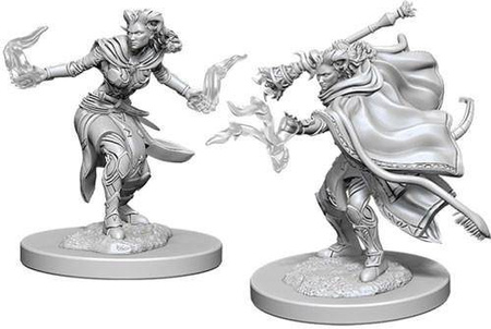 D&D Female Tiefling Warlock - Nolzur's Miniature