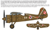 IBG 72519 PZL P.11c Polish Fighter