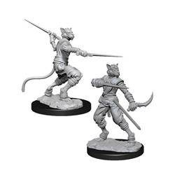 D&D Male Tabaxi Rogue - Nolzur's Miniature