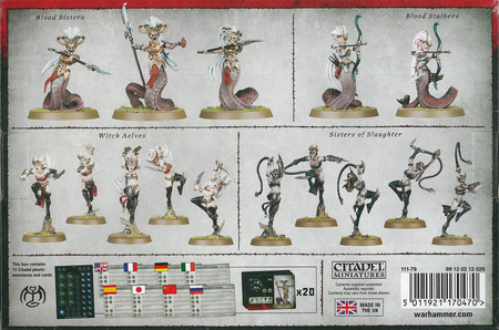 Age of Sigmar Warcry Daughters of Khaine