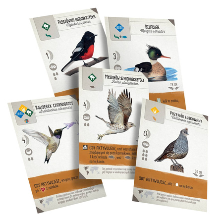 Na skrzydłach: Szybki start