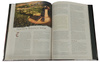 Dungeons&Dragons 5 Ed. Tyranny of Dragons ENG