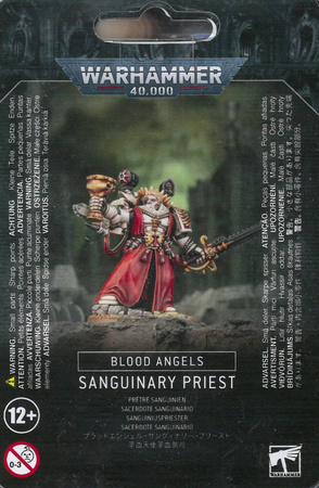 Blood Angels Sanguinary Priest