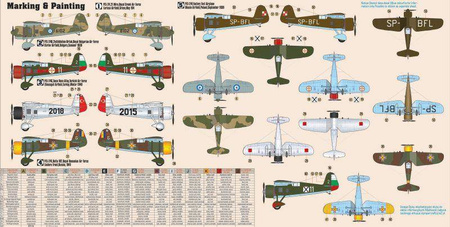 Mister Craft D-225 P-24B/E/F/G 'Balkan Defender'