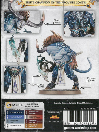 Disciples of Tzeentch Ogroid Thaumaturge