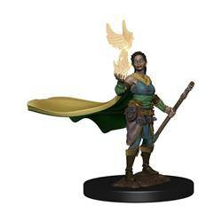 D&D Female Elf Druid - Icons of the Realms