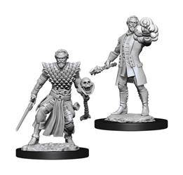 D&D Male Human Warlock - Nolzur's Miniature