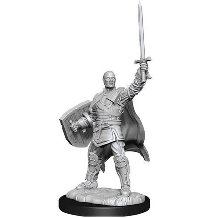 D&D Human Male Paladin - Nolzur's Miniature