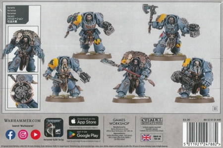 Space Wolves Wolf Guard Terminators
