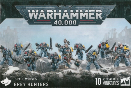Space Wolves Grey Hunters