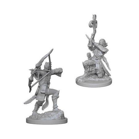 D&D Male Elf Bard - Nolzur's Miniature