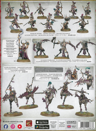 Hedonites of Slaanesh Spearhead - zestaw