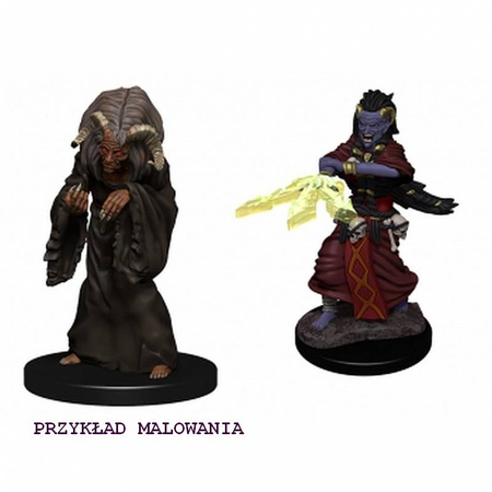 D&D Night Hag & Dusk Hag Nolzur's Miniature