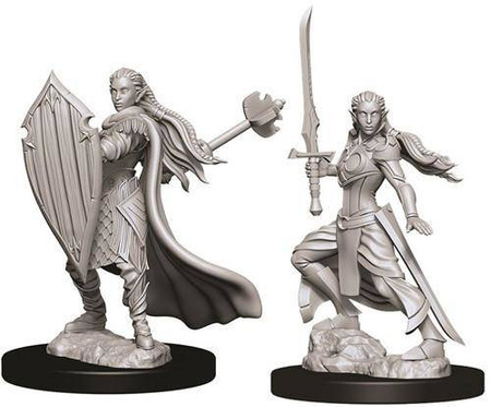 D&D Female Elf Paladin - Nolzur's Miniature