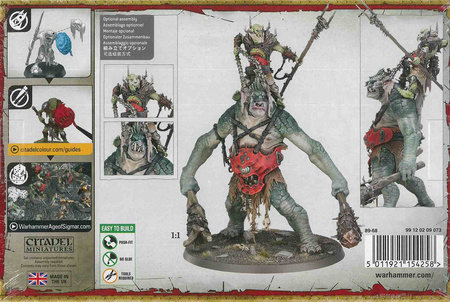 Orruk Warclans Breaka-Boss On Mirebrute Troggoth