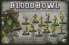 Blood Bowl The Athelorn Avengers - drużyna elfów