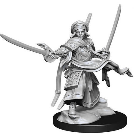 D&D Human Male Ranger - Nolzur's Miniature