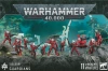 Aeldari Guardians