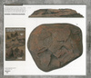 Battlefield in a Box BB642 Extra Large Rocky Hill Mars / wzgórze