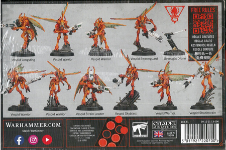 Kill Team T'au Empire Vespid Stingwings