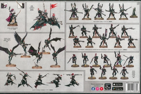 Drukhari Battleforce Realspace Raiders
