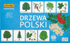 Memory Drzewa Polski Adamigo