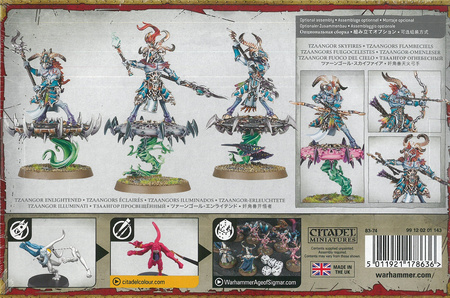 Disciples of Tzeentch Tzaangor Enlightened / Skyfires