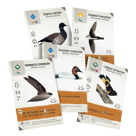 Na skrzydłach: Szybki start