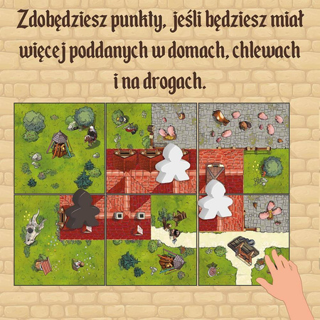 Zamek / The Castle (edycja polska)
