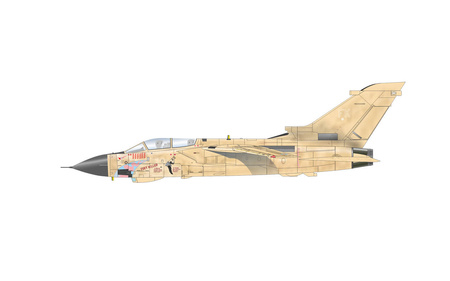 Eduard 2137 Desert Babes 1:72