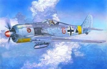 Mastercraft C-11 FW-190F-2 'Schlachtflugzeuge'