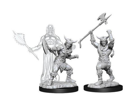 D&D Male Human Barbarian - Nolzur's Miniature