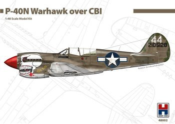Hobby 2000 P-40N Warhawk Aces over CBI