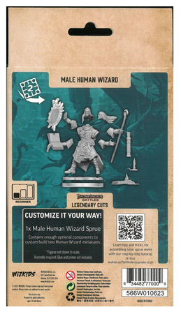 Pathfinder Legendary Cuts Male Human Wizard