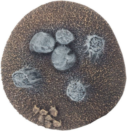 Battlefield in a Box BB529 Swamps - Bagna