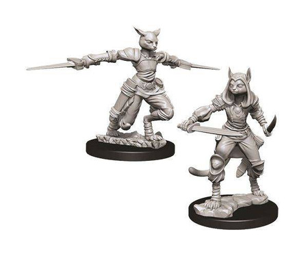 D&D Female Tabaxi Rogue - Nolzur's Miniature