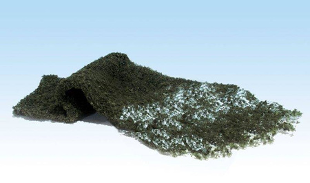 Listowie drzew iglastych - Conifer Green