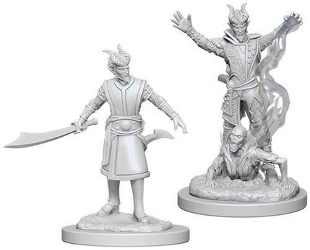 D&D Male Tiefling Warlock - Nolzur's Miniature