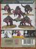 Blades of Khorne Flesh Hounds