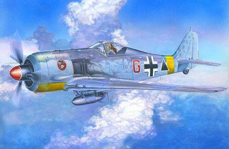 Mastercraft C-11 FW-190F-2 'Schlachtflugzeuge'