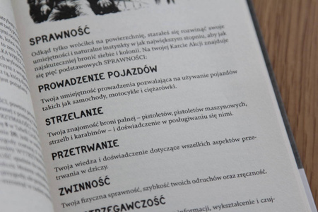 Wojownik Autostrady Tom 1 Piekło na Autostradzie gra paragrafowa