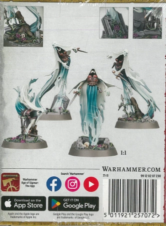 Nighthaunt Myrmourn Banshees