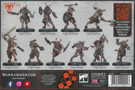 Kill Team Fellgor Ravagers