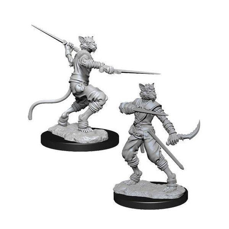 D&D Male Tabaxi Rogue - Nolzur's Miniature