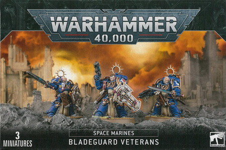 Space Marines Bladeguard Veterans