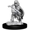 D&D Halfling Male Rogue - Nolzur's Miniature