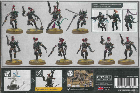 Dark Eldar / Drukhari Wyches