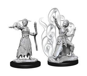 D&D Female Human Warlock - Nolzur's Miniature