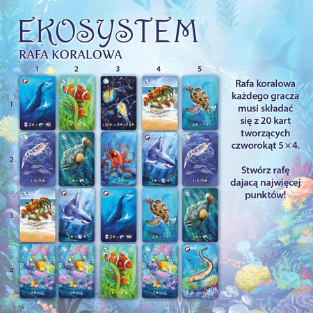 Ekosystem 2 Rafa Koralowa