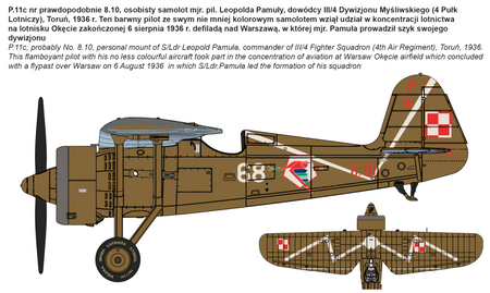 IBG 72519 PZL P.11c Polish Fighter